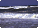 Wave Concepts